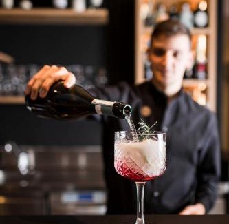 Tires Hotel | Alpinhotel Vajolet - Adults only