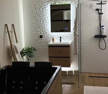 Poincare Apartment | Alsace home 67