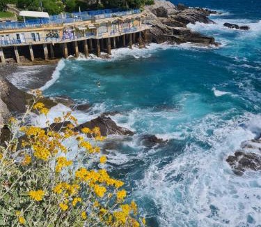 Bogliasco Apartment | Altamarea