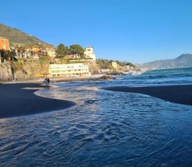 Bogliasco Apartment | Altamarea