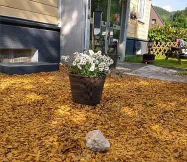 Wildemann Apartment | Alte Muehle FeWo Renate