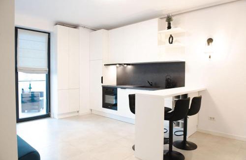 Timisoara Apartment | Alternativ 1 Residence