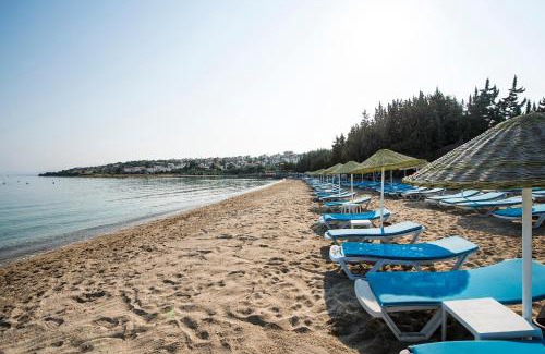 Altınyunus Mahallesi Apartment | Altin Yunus Apart Beach Plus
