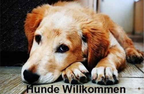 Trostberg Hotel | Altstadt- und Businesshotel Pfaubräu - Brauereigasthof - Frühstücksbuffet - kostenfreie Radgarage - Hunde willkommen