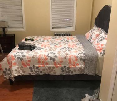 Prospect Lefferts Gardens Apartment | Alykas Properties