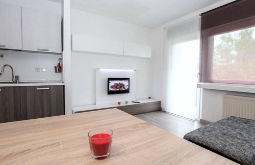 Seefeld in Tirol Apartment | Am Birkenhain by Interhome