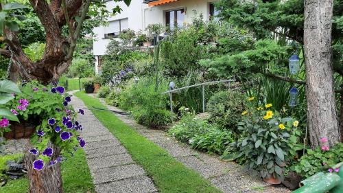Kamp-Bornhofen Apartment | Am Teich