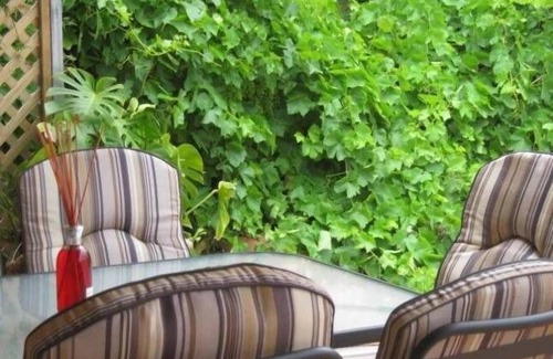 Waikerie House | Amalie Cottage Waikerie, Town centre. Unit 1