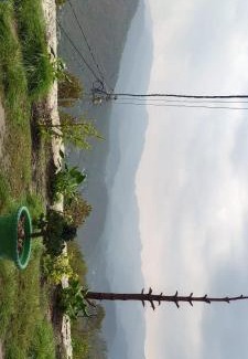 Almora Ski Chalet | Aman Homestay