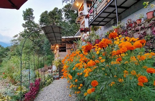 Gangtok House | Amazing 2 bedroom house with WiFi in Gangtok A frame cottage, peaceful place