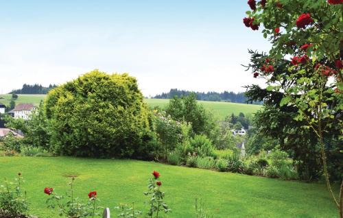 Rickenbach Apartment | Amazing Apartment In Rickenbach