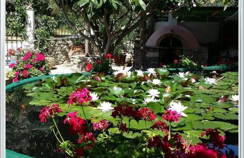 Kantanos-Selino Other | Amazing Cottage close from the sea - Crete