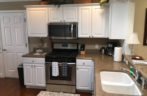 Virginia Trace House | Amazing! Dog Friendly Home w/2 Golf Carts & Walking Distance to Lake Sumter!