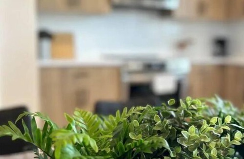 Lincoln Apartment | Amazing Family-Friendly Cozy Suite - Vancouver Downtown