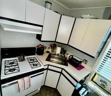 Hunters Point Apartment | Amazing Ground Floor 2 Bedrooms in NYC Subway crossing the street and one station to Manhattan