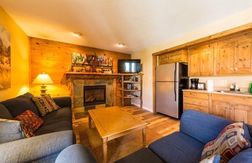 Crested Butte Condo | Amazing location, just steps from the base area! Newly updated adorable condo!