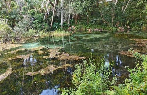 Citrus Springs House | Amazing NEW Home I Hot Tub I Rainbow Springs I Beach I HCA Hospital