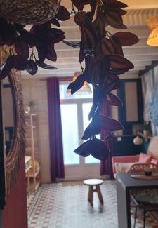 Saint-Antoine Apartment | Amazo nid Appartement exotique proche de Bordeaux