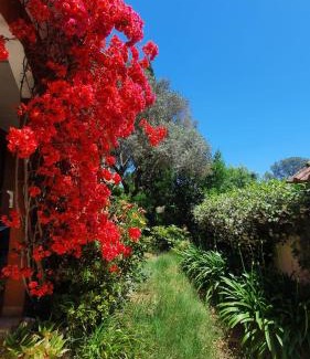 Zona XXXII Acilia Nord House | Ampie camere in villa in zona verde e tranquilla