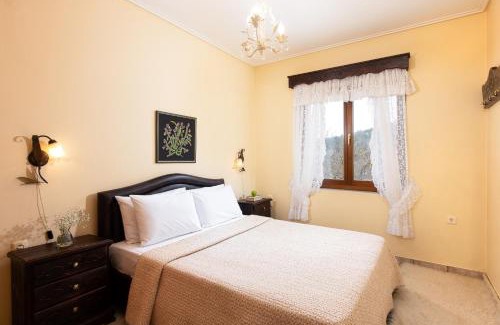 Karpenisi Apartment | Amygdalies Apartments with Fireplace