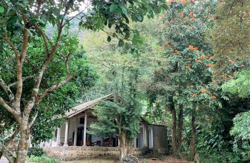 Cat Hai House | Ancient House Cat Ba