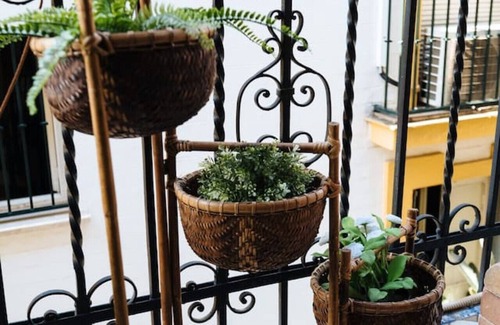 Alfalfa Apartment | Andalusian Flavour in Heart of Seville 4´giralda