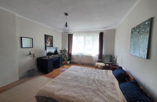 Sfantu Gheorghe Apartment | Andrea apartman