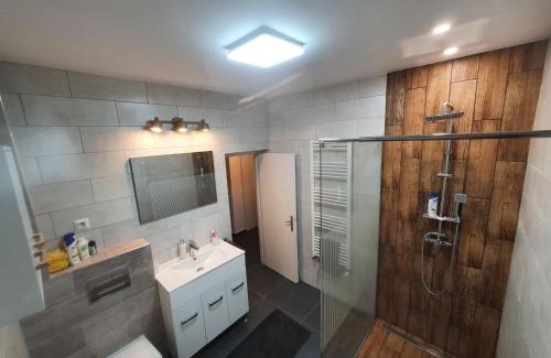 Sfantu Gheorghe Apartment | Andrea apartman