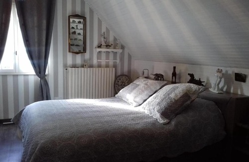Plechatel House | Angelina et ses animaux