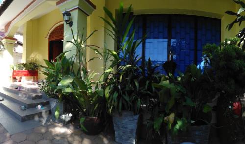Siem Reap House | Angkor Sandra Villa