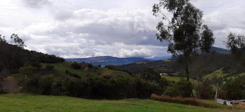 Guasca Other | Animals Glamping
