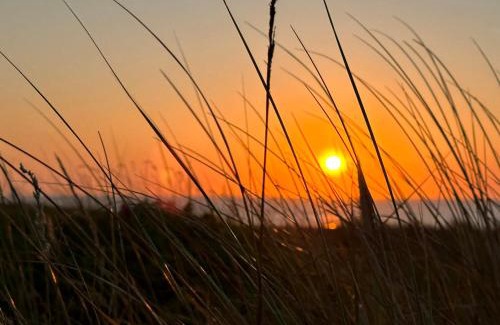 Wangerooge Apartment | Anna Duene 3-44 - bester Meerblick im Aparthotel Anna Duene