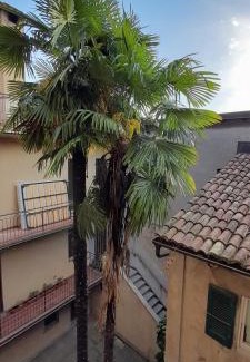 Campione d'Italia Apartment | Anna's Home ☆