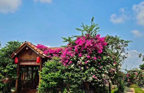 Pleiku Hotel | Anna's Homestay Pleiku