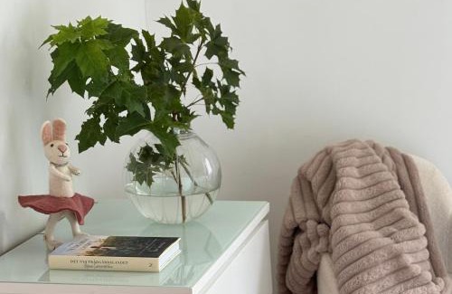 Fjaras House | Annas gård, stall & pensionat