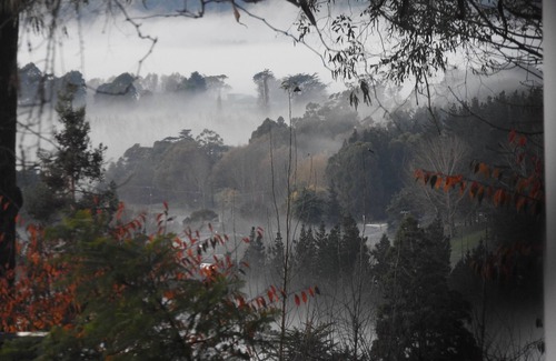 Waipawa House | Anniversary Cottage, the perfect escape to the country