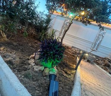 Antalya City Centre House | Antalyanın kalbinde teraslı odalar