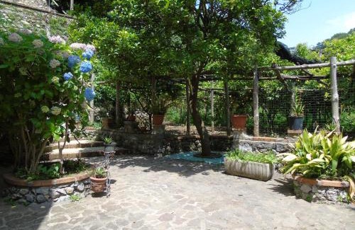 Pucara Apartment | Antica Cartiera Sant'Elia