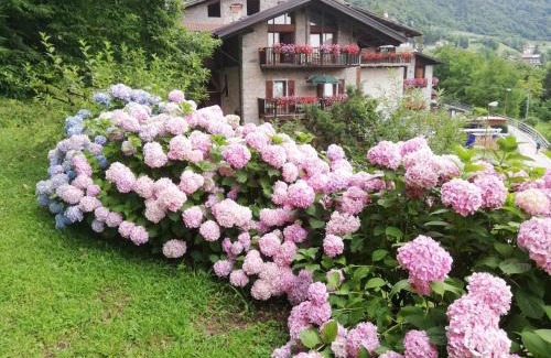 Riva del Garda Apartment | Antica Casa Ortensia