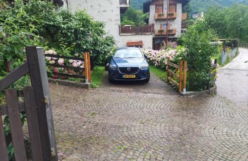 Riva del Garda Apartment | Antica Casa Ortensia