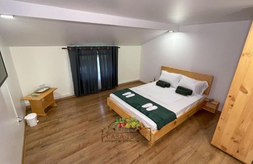 Tirgu Ocna House | Anulat 1