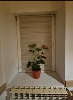 Old Town Apartment | Ap Central Traian Moșoiu 2 Parcare proprie