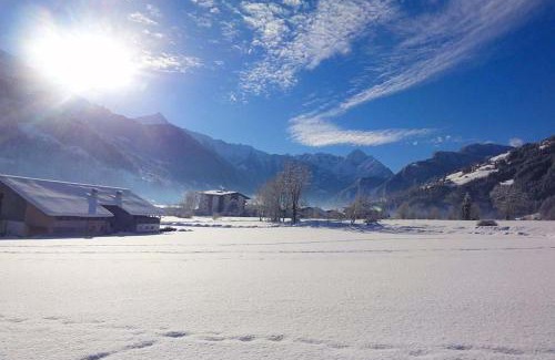 Zellberg Apartment | Apart Alpensonne