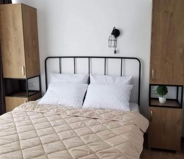 Bakuriani Hotel | Apart Hotel ART 206