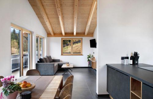Rohrberg House | Apart Mountainview