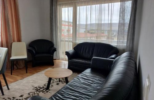 Floresti Apartment | Apart Ovi