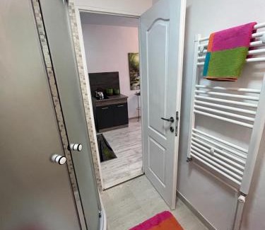 Sfantu Gheorghe Apartment | Apartament Acasa Sf.Gheorghe
