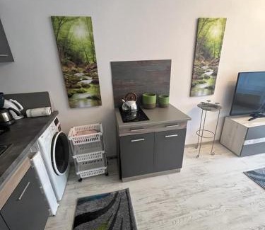 Sfantu Gheorghe Apartment | Apartament Acasa Sf.Gheorghe