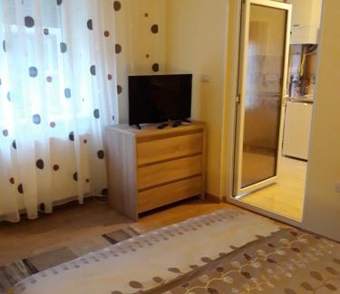 Arad Apartment | Apartament Andreas - centru, confort si relaxare