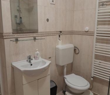 Arad Apartment | Apartament Andreas - centru, confort si relaxare